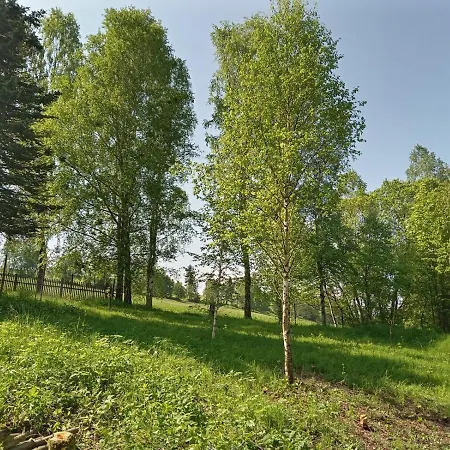 Chalupa Ve Vejprtech Vejprty Buitenkant foto