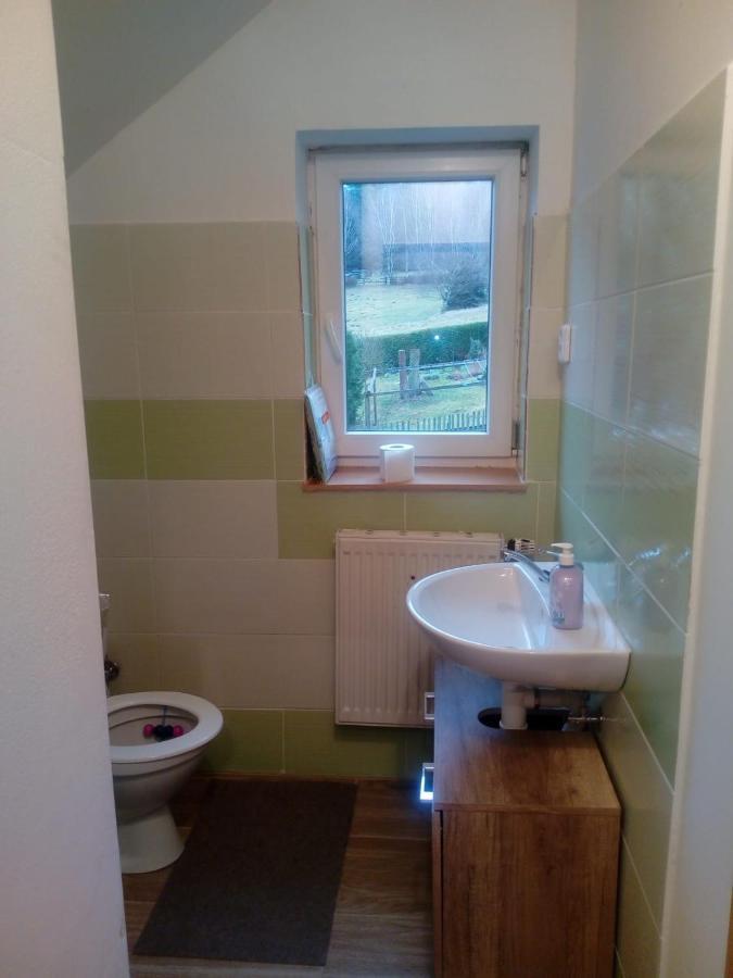 Ve Vejprtech Holiday home *
