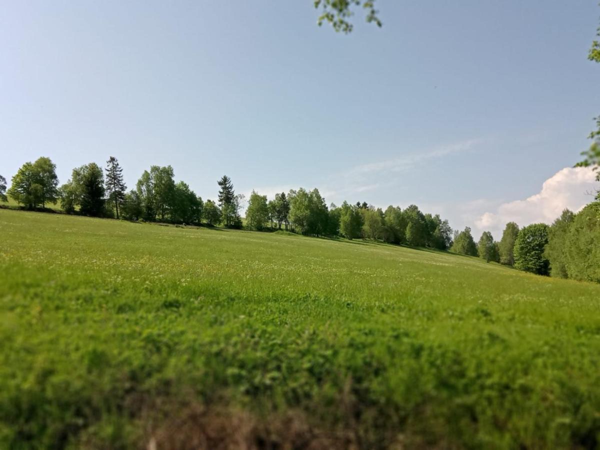 Ve Vejprtech Holiday home