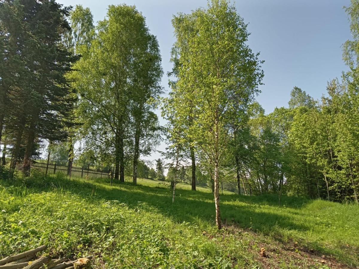 Holiday home Ve Vejprtech *