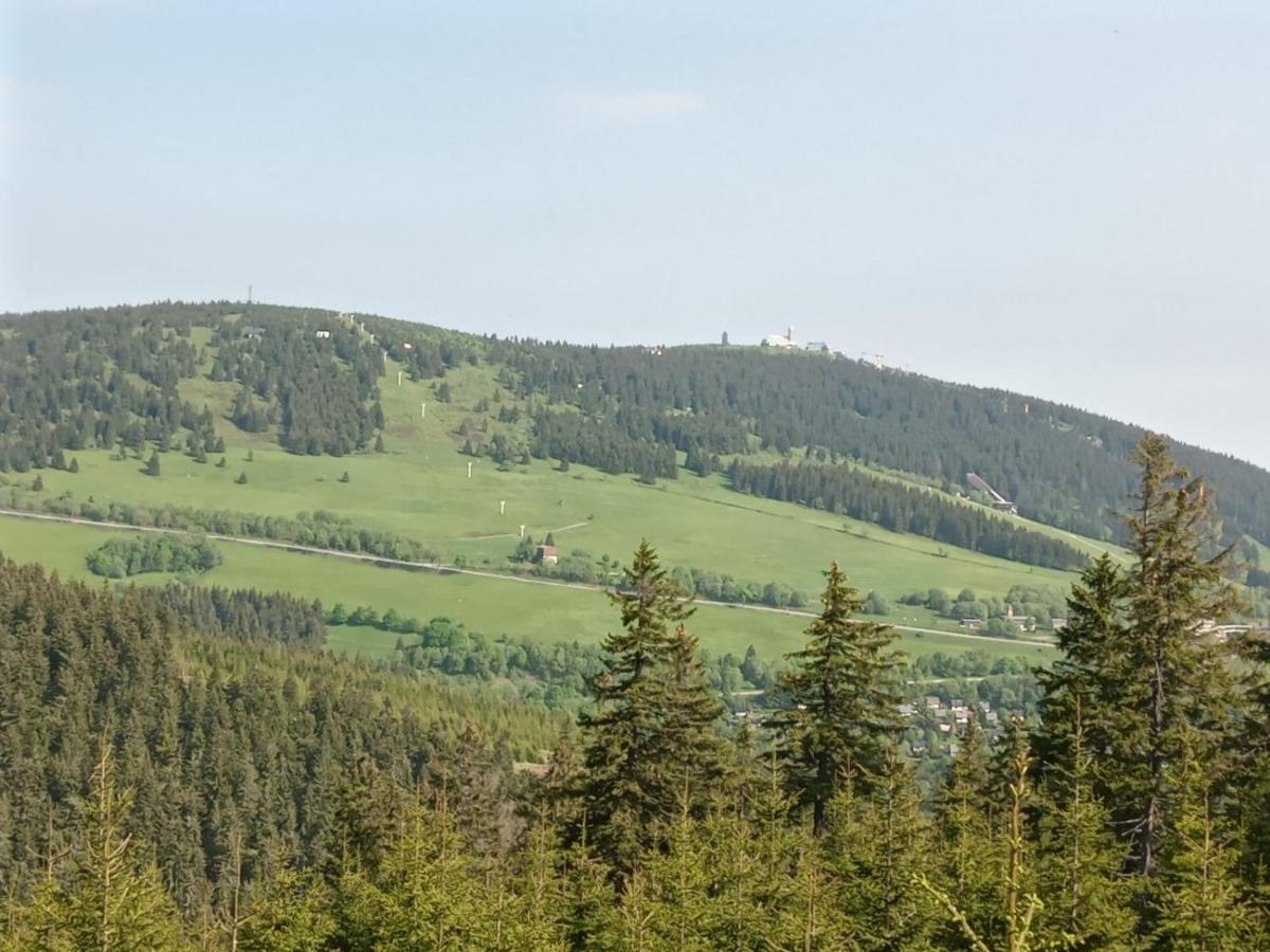 Ve Vejprtech