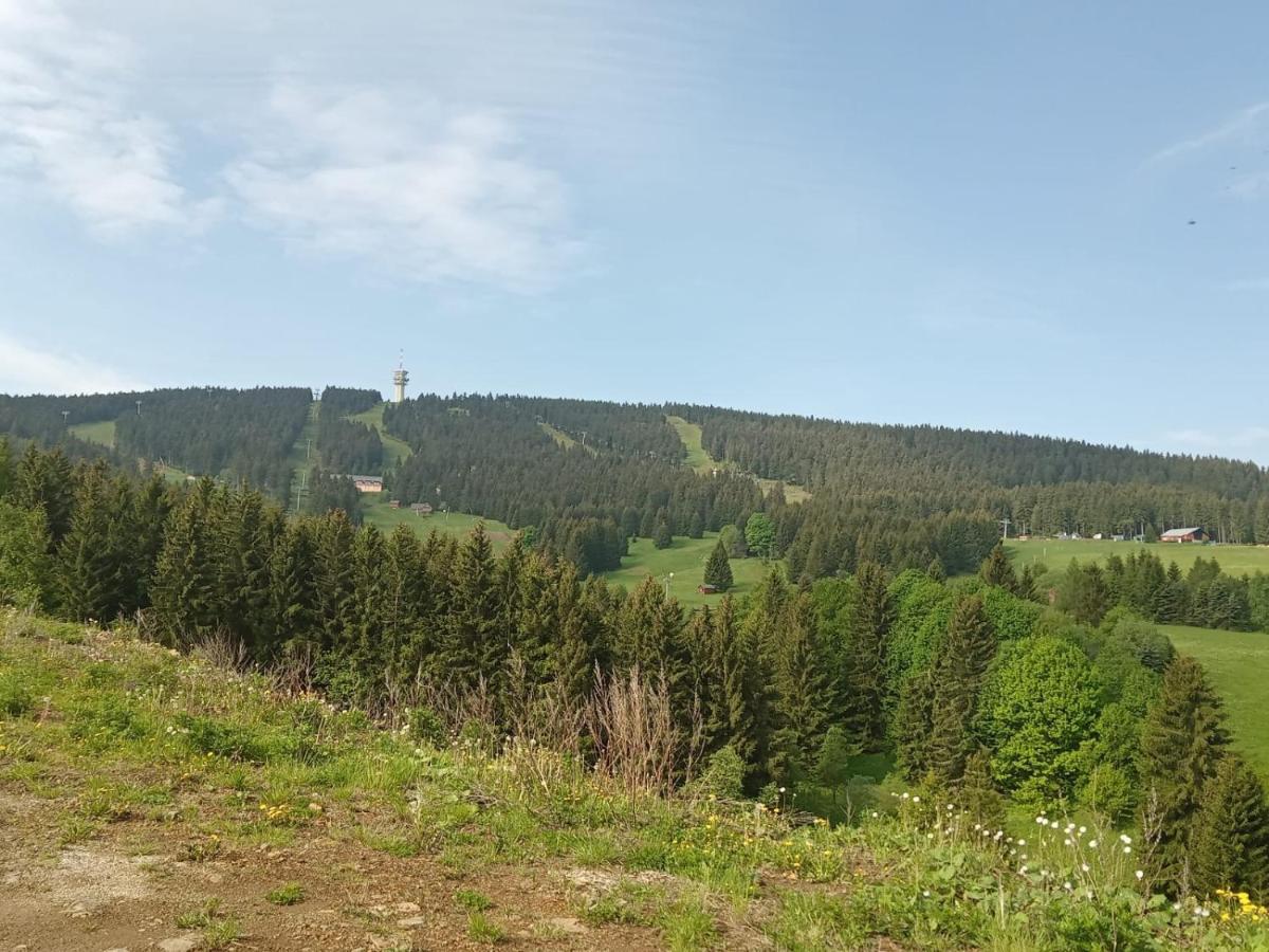 Ve Vejprtech