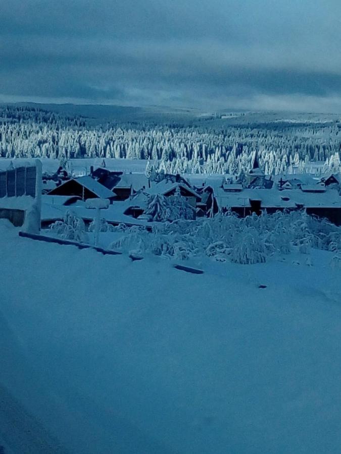 Ve Vejprtech Holiday home